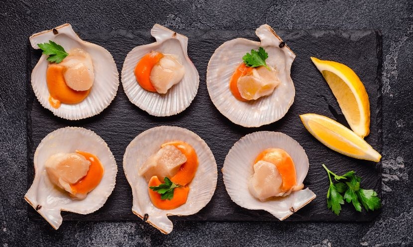 Réveillon gourmand : astuces pour préparer les Saint-Jacques Réveillon gourmand : astuces pour préparer les Saint-Jacques