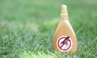 Nuisibles : comment s’en débarrasser efficacement ?